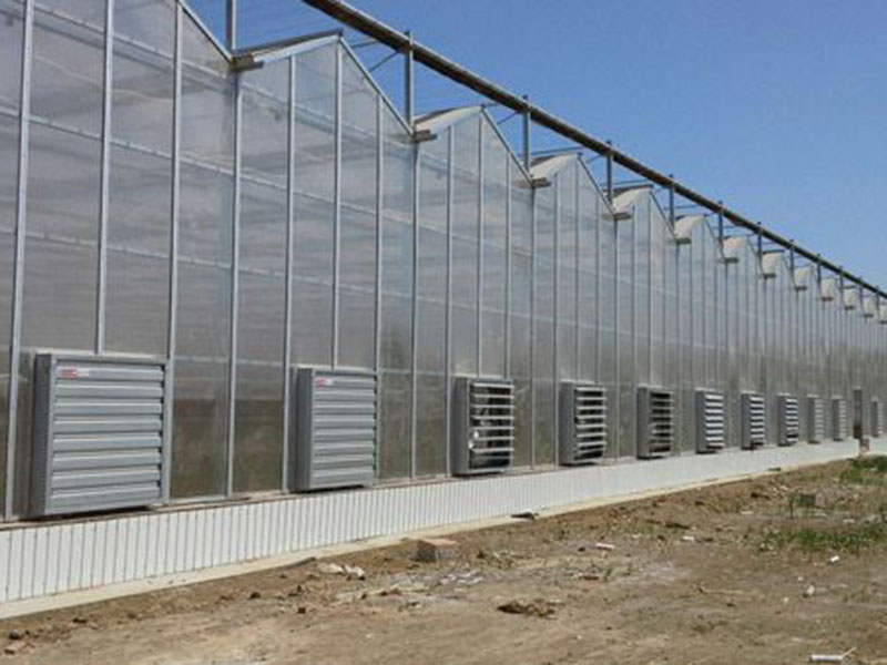 PC/陽(yáng)光板溫室